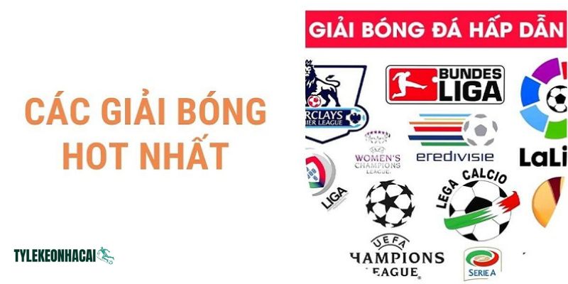 Tại keonhacais.net luôn cập nhật đầy đủ lịch mọi giải đấu bóng